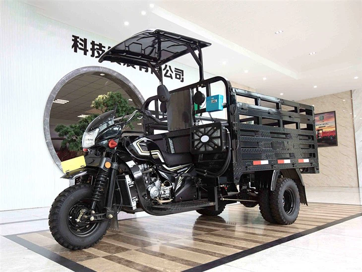 3.Gasoline heavy duty trike